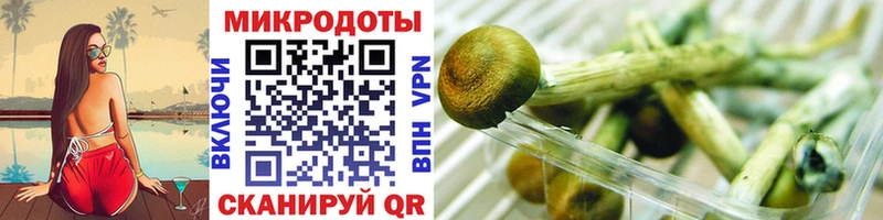 Псилоцибиновые грибы Cubensis  Уяр 